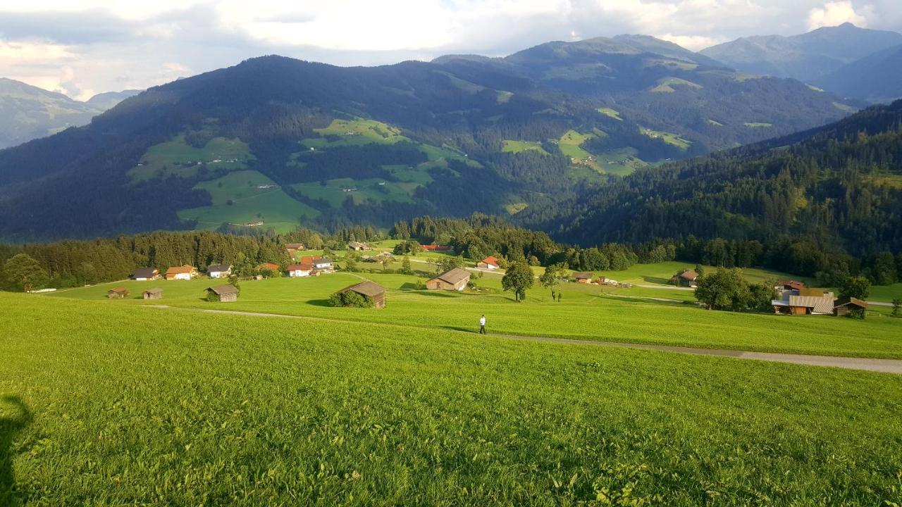 Schrandl Apartment Penningberg Hopfgarten im Brixental Bagian luar foto