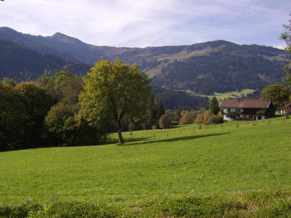 Schrandl Apartment Penningberg Hopfgarten im Brixental Bagian luar foto