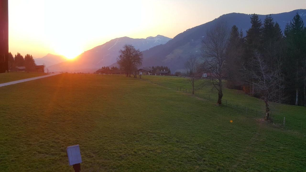 Schrandl Apartment Penningberg Hopfgarten im Brixental Bagian luar foto