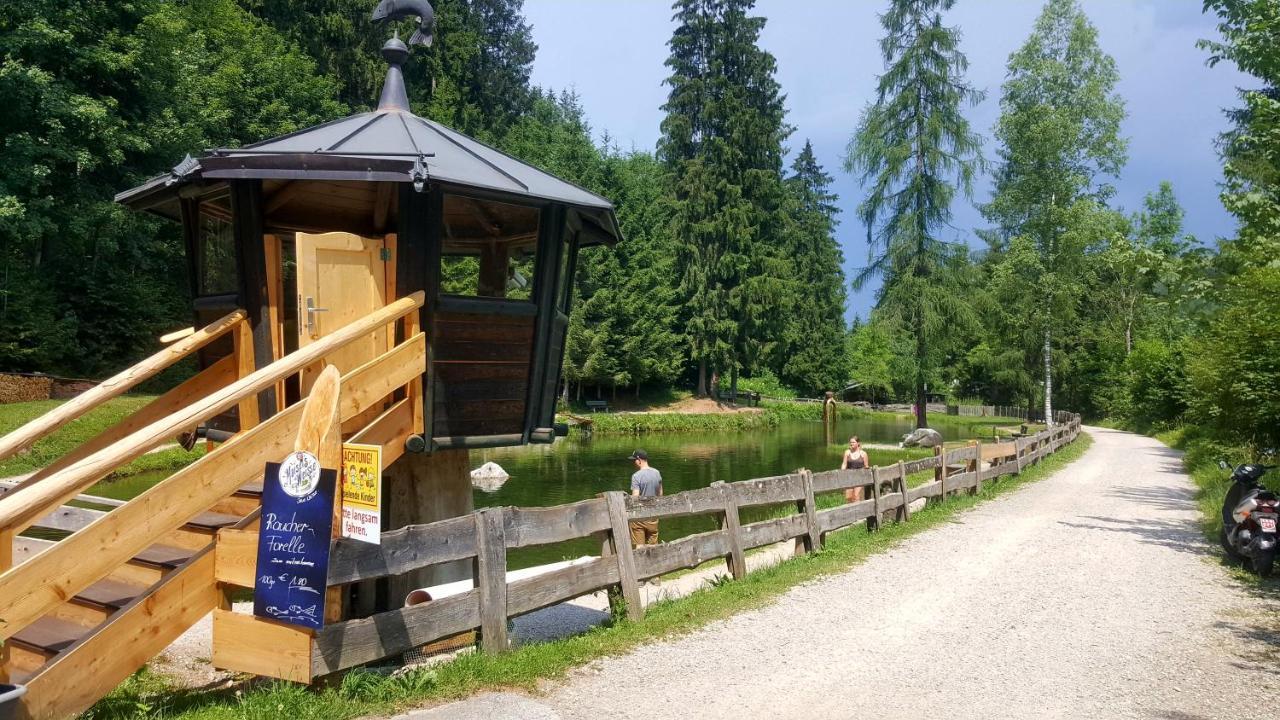Schrandl Apartment Penningberg Hopfgarten im Brixental Bagian luar foto