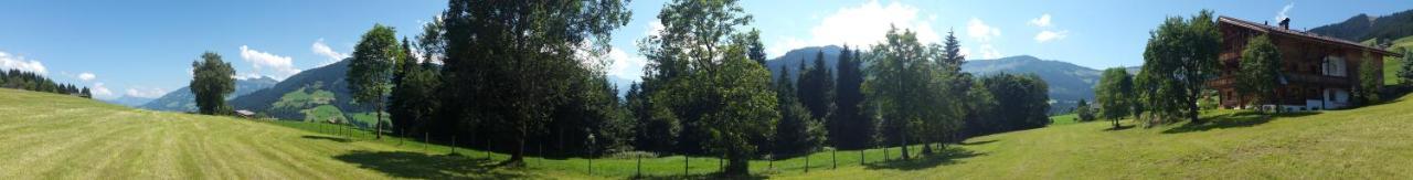 Schrandl Apartment Penningberg Hopfgarten im Brixental Bagian luar foto