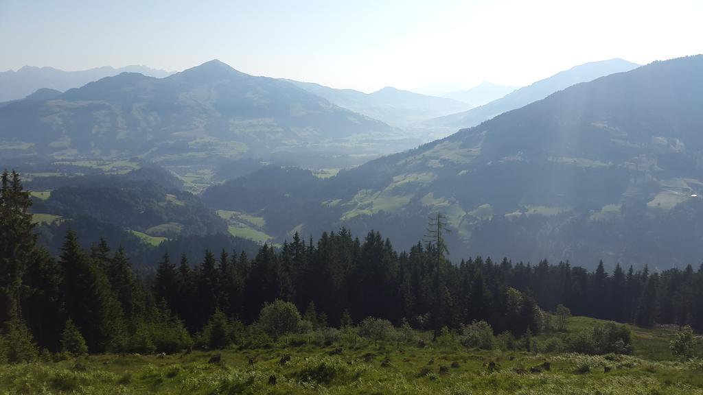 Schrandl Apartment Penningberg Hopfgarten im Brixental Ruang foto