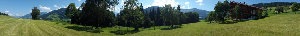 Schrandl Apartment Penningberg Hopfgarten im Brixental Bagian luar foto