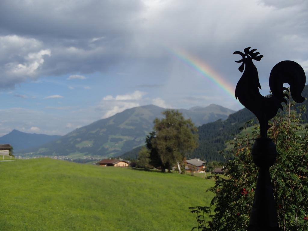 Schrandl Apartment Penningberg Hopfgarten im Brixental Bagian luar foto