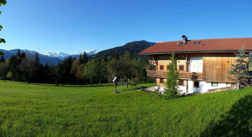 Schrandl Apartment Penningberg Hopfgarten im Brixental Bagian luar foto