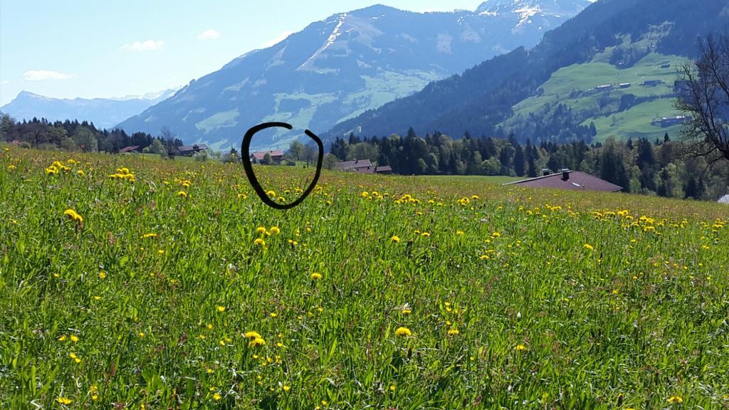 Schrandl Apartment Penningberg Hopfgarten im Brixental Bagian luar foto