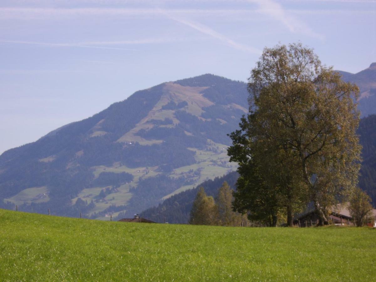Schrandl Apartment Penningberg Hopfgarten im Brixental Bagian luar foto